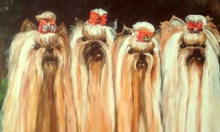 LES 4 YORKS . huile couteau