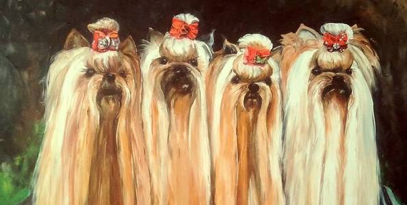 LES 4 YORKS . huile couteau