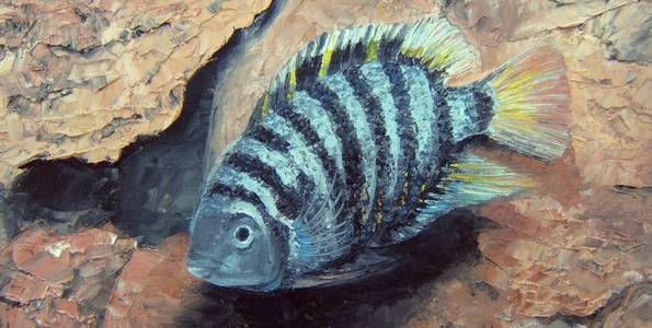 ABUDEFDUF . huile couteau