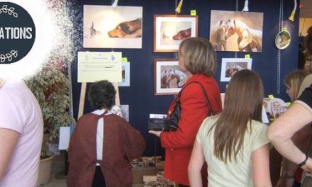 Presse . ANIMATIONS en soirée, salons, expos