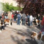 Salon à ANNECY . Centenaire du St Bernard