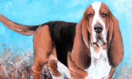 BASSET HOUND . huile couteau
