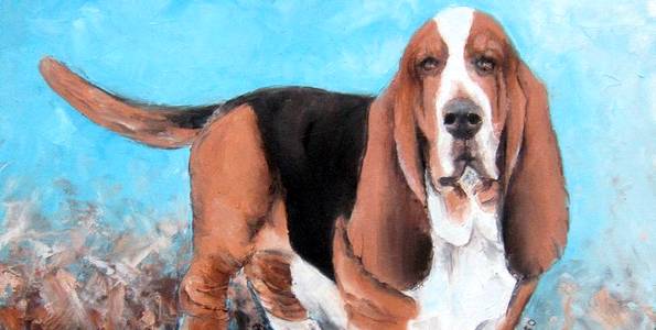 BASSET HOUND . huile couteau