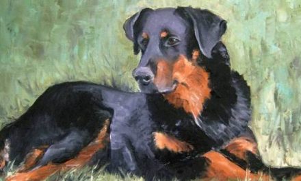 BEAUCERON . huile couteau