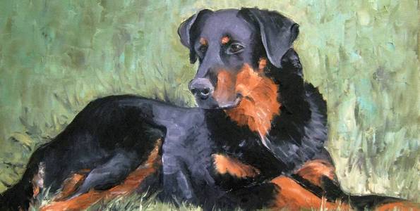 BEAUCERON . huile couteau