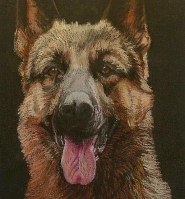 BERGER ALLEMAND (peinture)