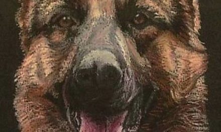 BERGER ALLEMAND . pastel