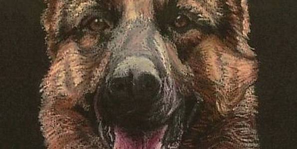 BERGER ALLEMAND . pastel