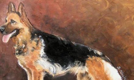 BERGER ALLEMAND . huile couteau