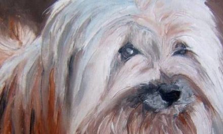 BERGER DES PYRENEES . huile couteau