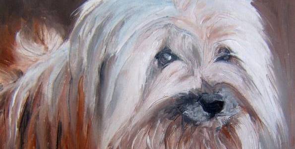 BERGER DES PYRENEES . huile couteau