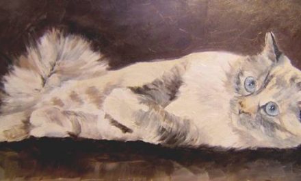 BIRMAN COUCHE . huile couteau