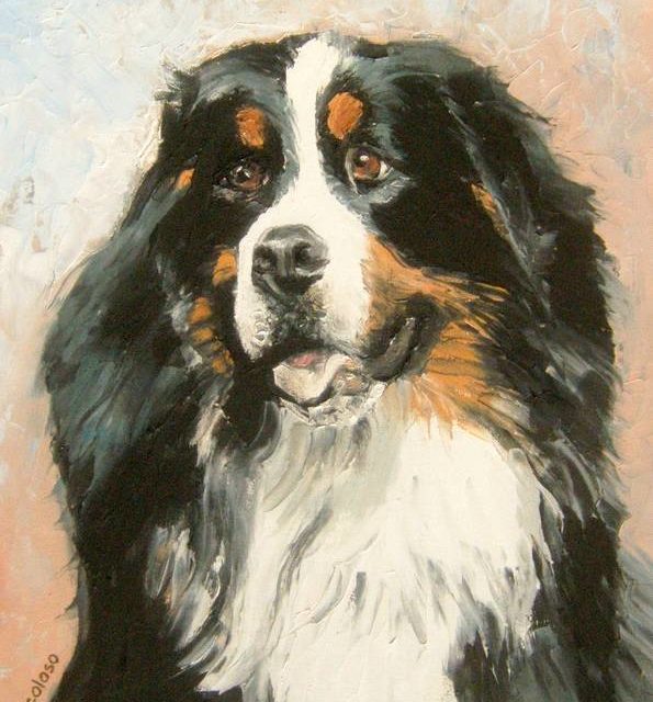 BOUVIER BERNOIS (peinture)