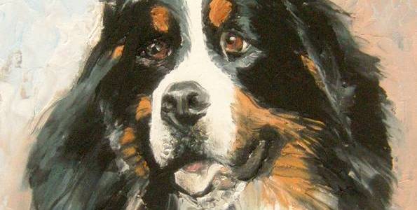 BOUVIER BERNOIS . huile couteau