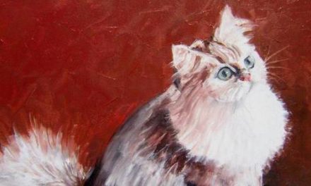 BRITISH LONGHAIR . huile couteau