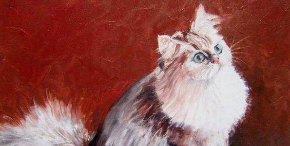 BRITISH LONGHAIR . huile couteau