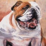 BULLDOG  . huile couteau