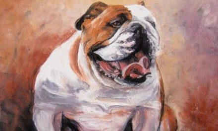 BULLDOG  . huile couteau