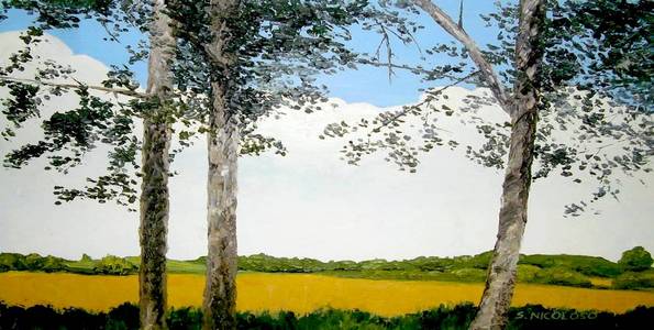 CAMPAGNE . huile couteau