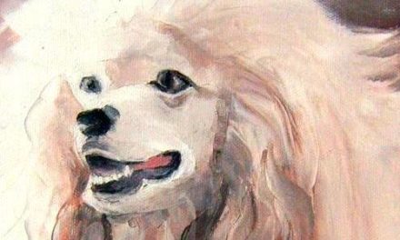 CANICHE . huile couteau