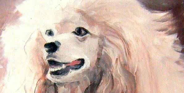 CANICHE . huile couteau