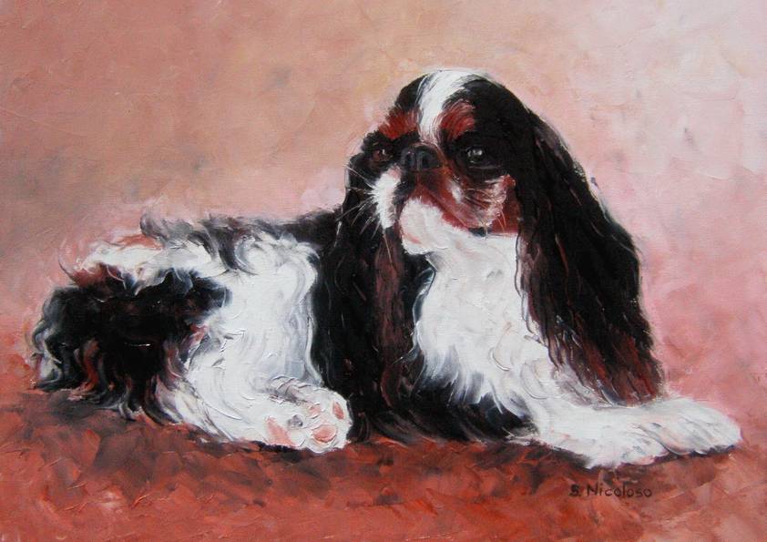CAVALIER KING CHARLES (peinture)