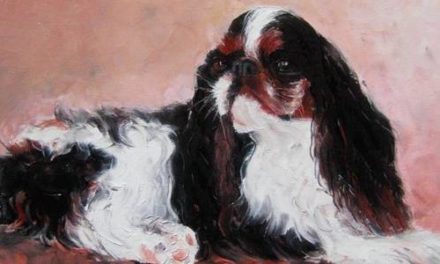 CAVALIER KING CHARLES . huile couteau