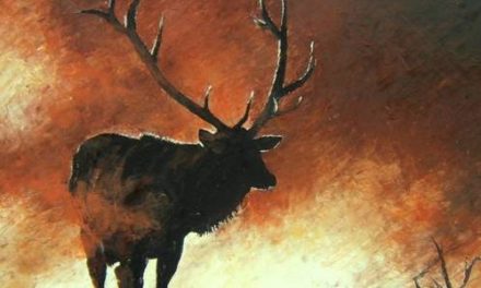 CERF DANS LA BRUME . huile couteau