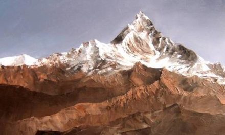 CIME ENSOLEILLEE . huile couteau