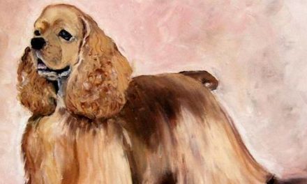 COCKER AMERICAIN . huile couteau