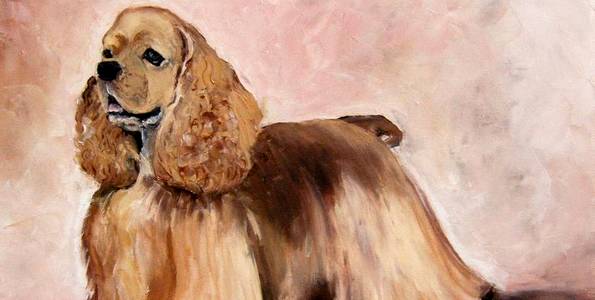 COCKER AMERICAIN . huile couteau