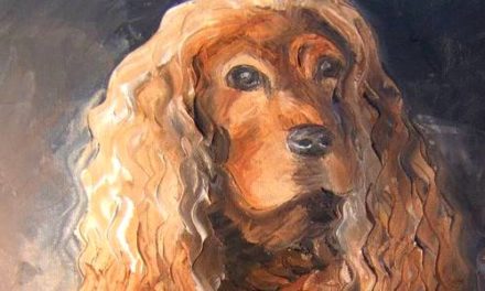 COCKER ANGLAIS . huile couteau