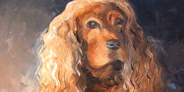 COCKER ANGLAIS . huile couteau