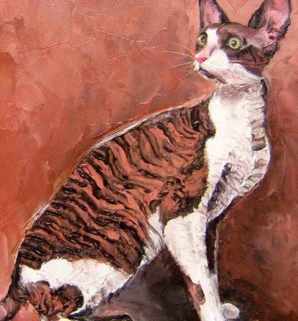 CORNISH REX (peinture)