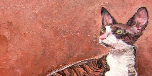 CORNISH REX . huile couteau