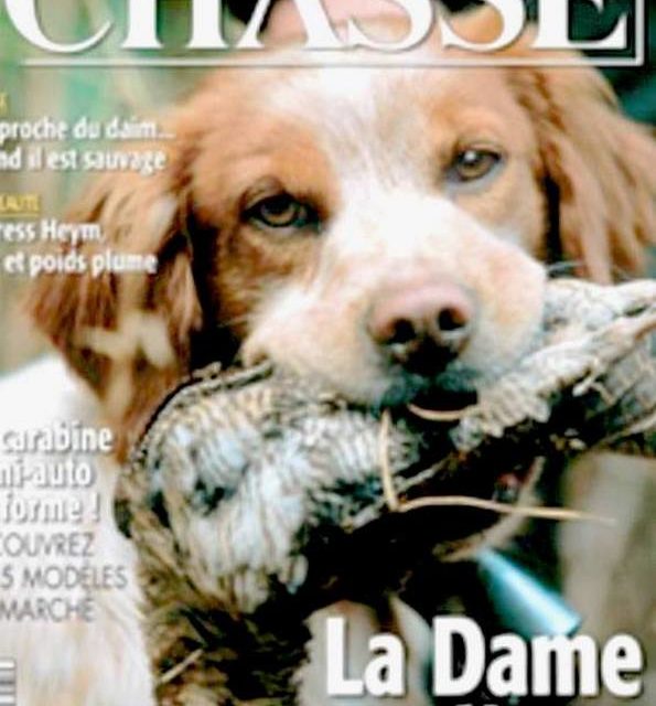 EPAGNEUL A LA BECASSE (original)