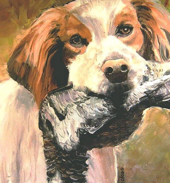 EPAGNEUL A LA BECASSE (peinture)