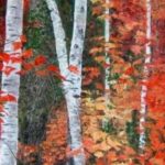 ERABLES et BOULEAUX . huile couteau