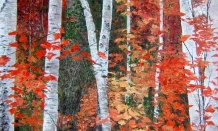 ERABLES et BOULEAUX . huile couteau