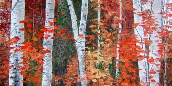 ERABLES et BOULEAUX . huile couteau