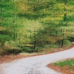 FORÊT AU PRINTEMPS . huile couteau