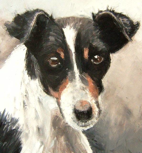 FOX TERRIER à poil lisse (peinture)