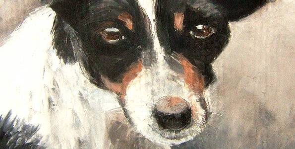 FOX TERRIER à poil lisse . huile couteau