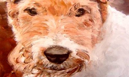 FOX TERRIER à poil dur . huile couteau