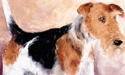 FOX TERRIER à poil dur . huile couteau