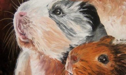 HAMSTERS . huile couteau