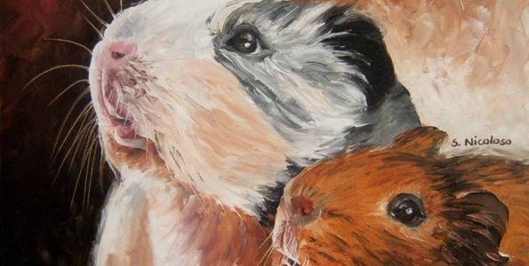 HAMSTERS . huile couteau
