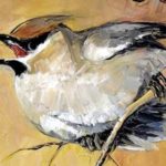 JASEUR BOREAL . huile couteau