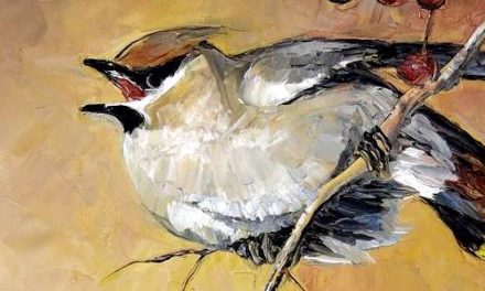 JASEUR BOREAL . huile couteau