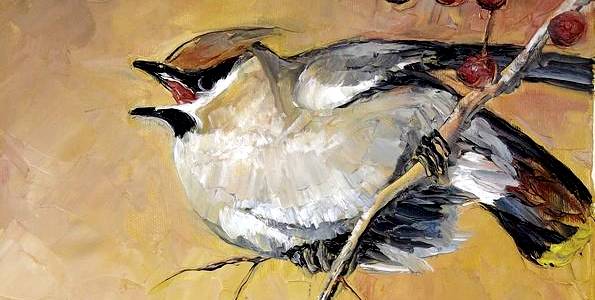 JASEUR BOREAL . huile couteau